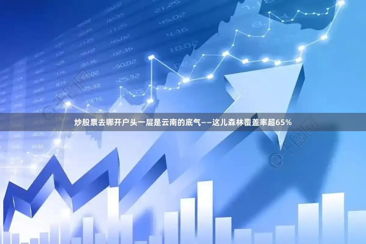 炒股票去哪开户头一层是云南的底气——这儿森林覆盖率超65%